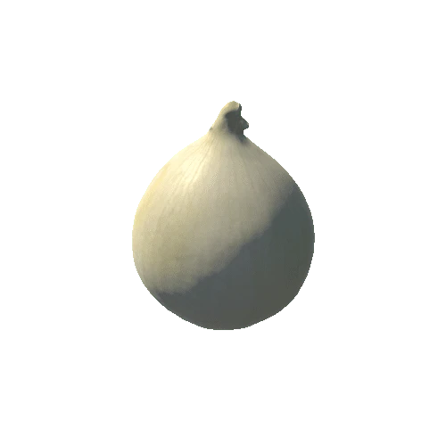 Onion02