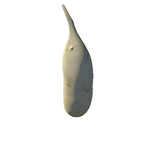 Radish03