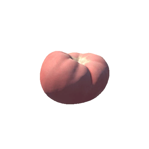 Tomato01