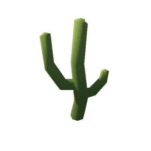 Cactus_2