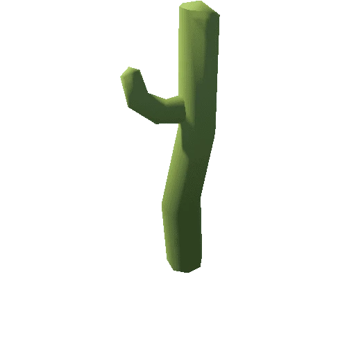 Cactus_3