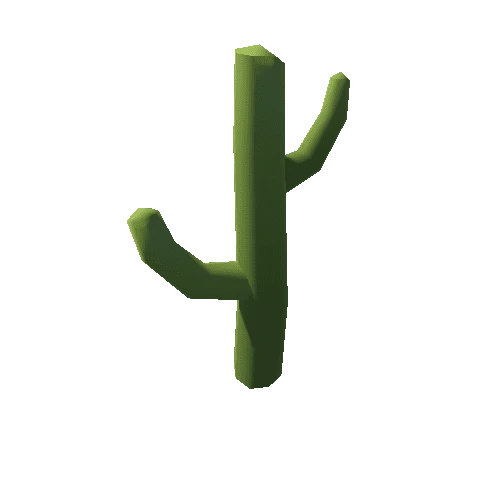 Cactus_4