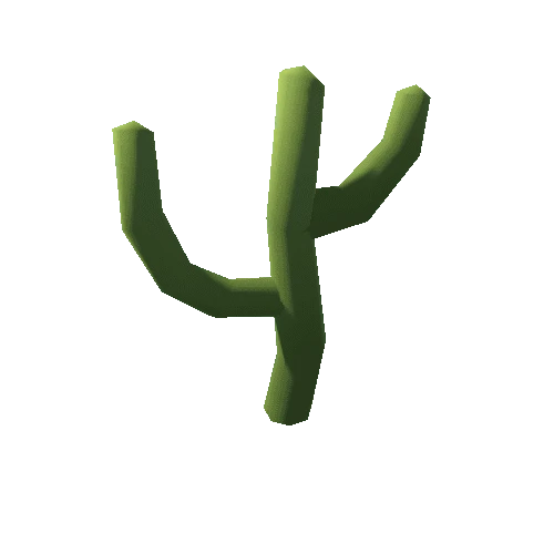 Cactus_5