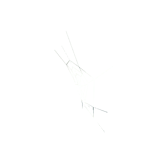 spiderweb_6