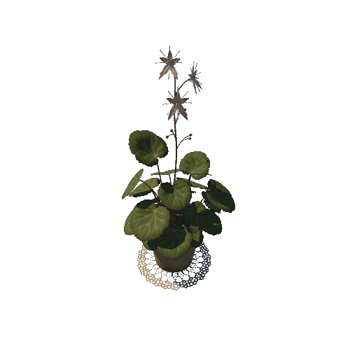 SM_pot_plant_02