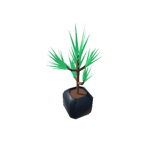 Potted-Plant-1