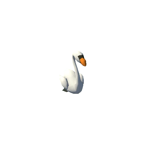 swan