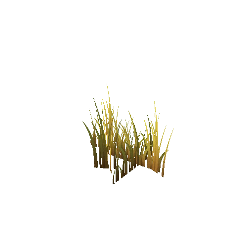 SM_Grass010