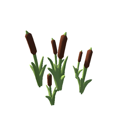 Env_Cattails