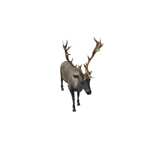 Reindeer_Mesh