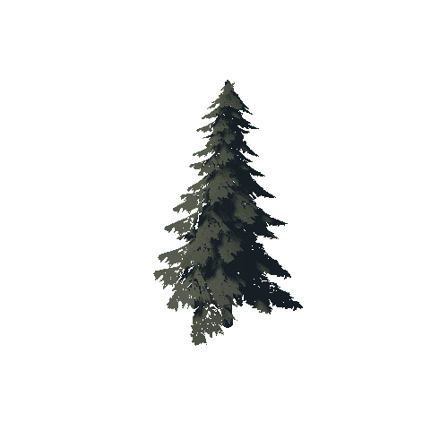 PineTree