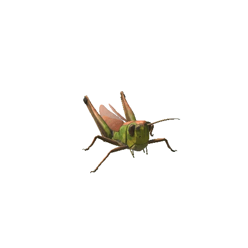 Grasshopper_Prefab