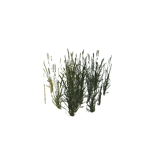 Grass2_2_prefab