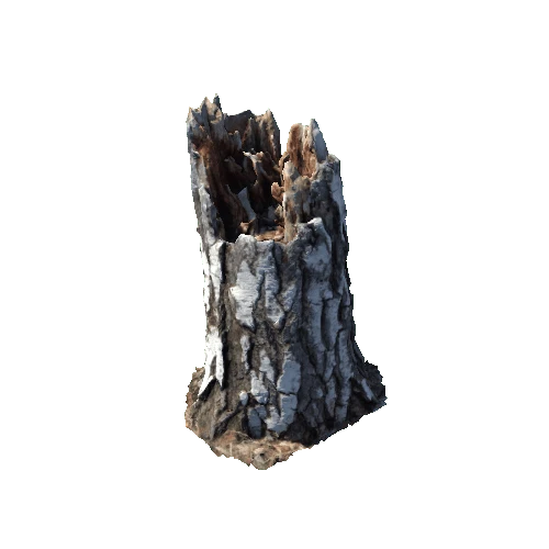 birch_stump_1_prefab