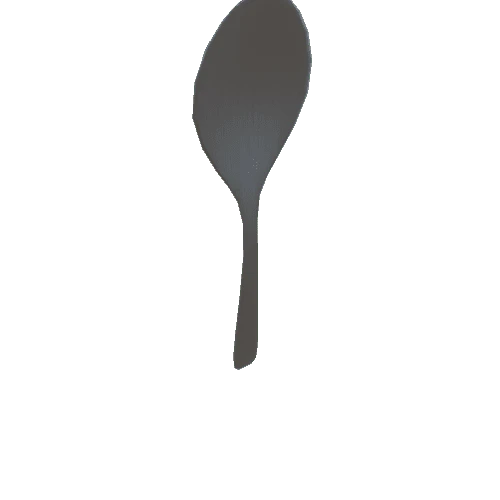 Spoon