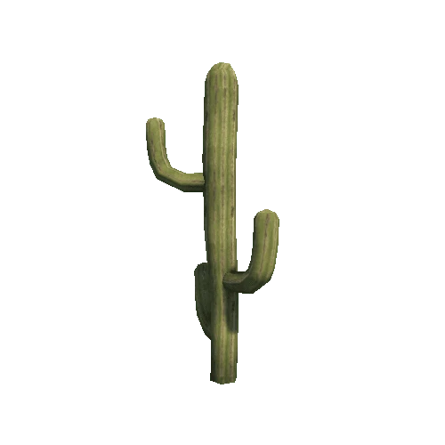 DG_Cactus_0