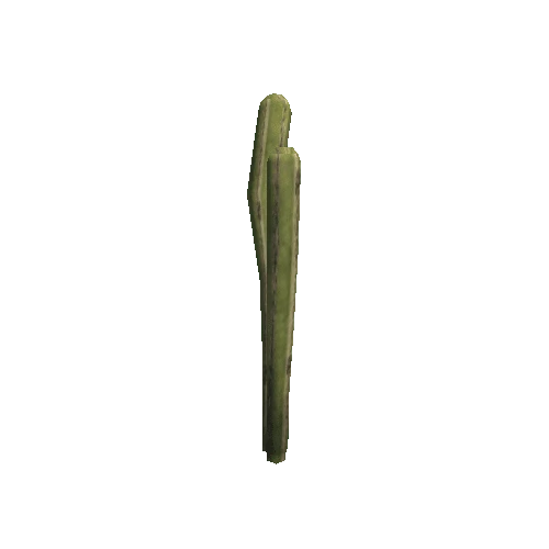 DG_Cactus_1