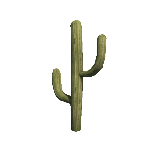 DG_Cactus_2