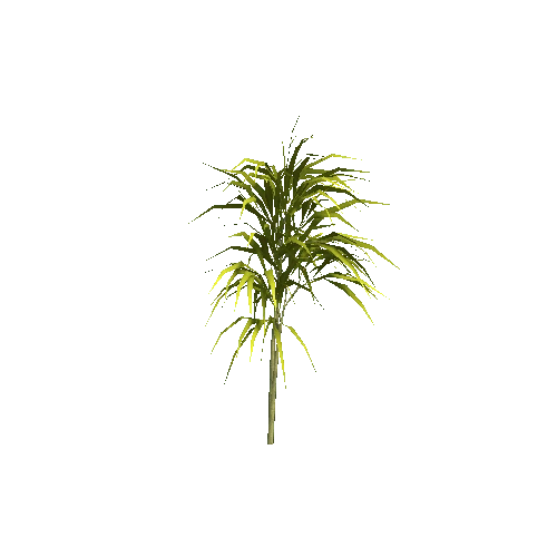 ST_Bamboo_Plant