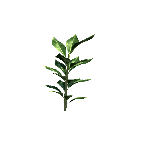 ST_Plant_01