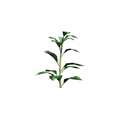 ST_plant_02