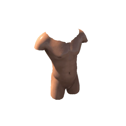 SK_Torso