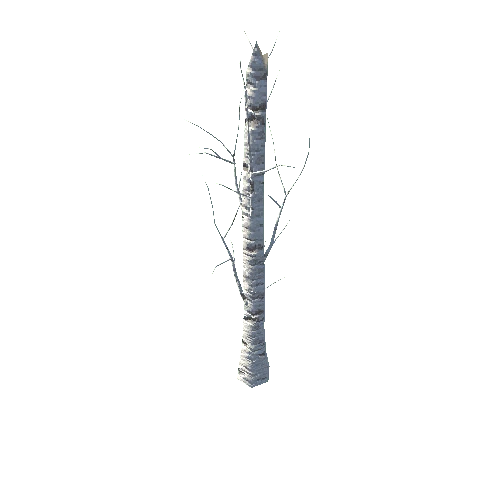 Birch_broken_01_LODs