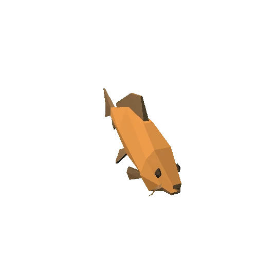 Fish_Carp00