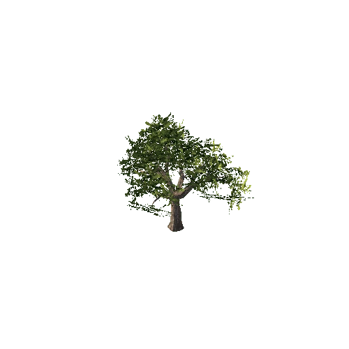 Tree_e