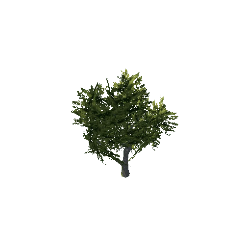 tree_b