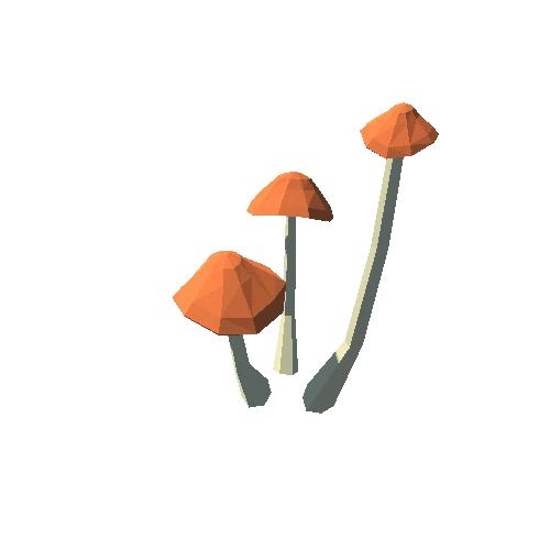 FungiUmbona02