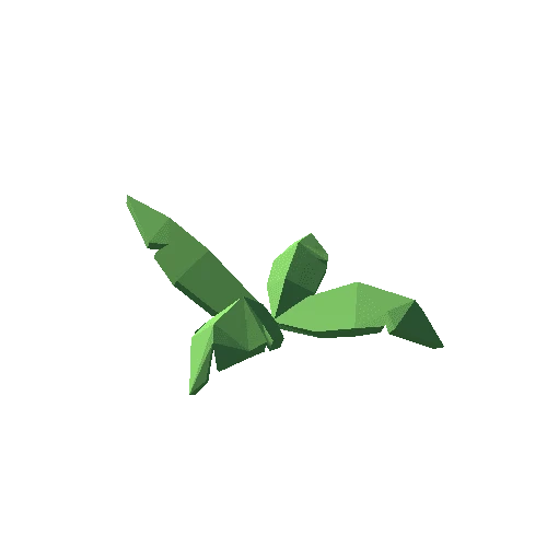 ShrubFern02