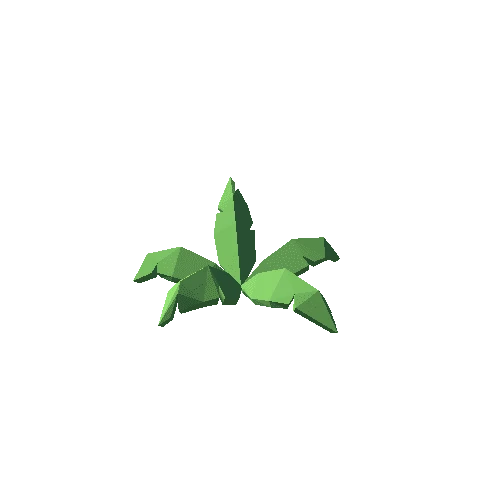 ShrubFern03