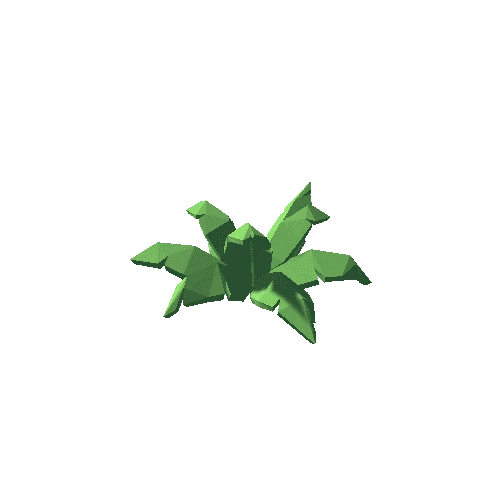 ShrubFern04