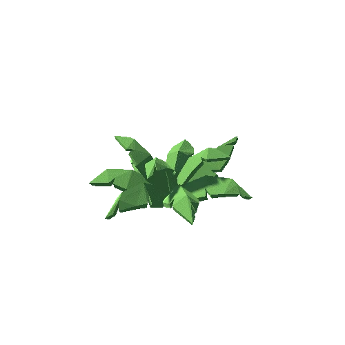 ShrubFern05