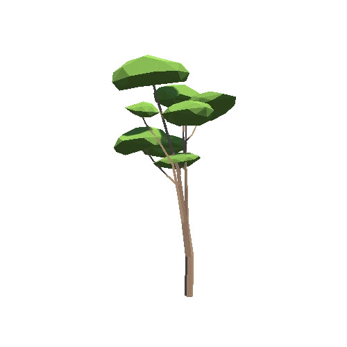 TreeCedar01
