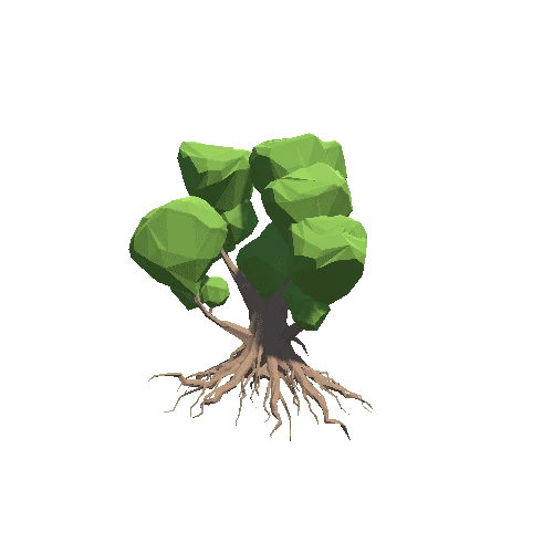 TreeKapokier01