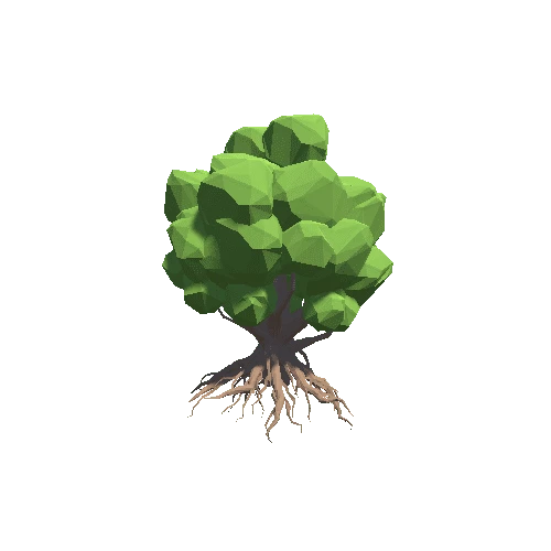 TreeKapokier02