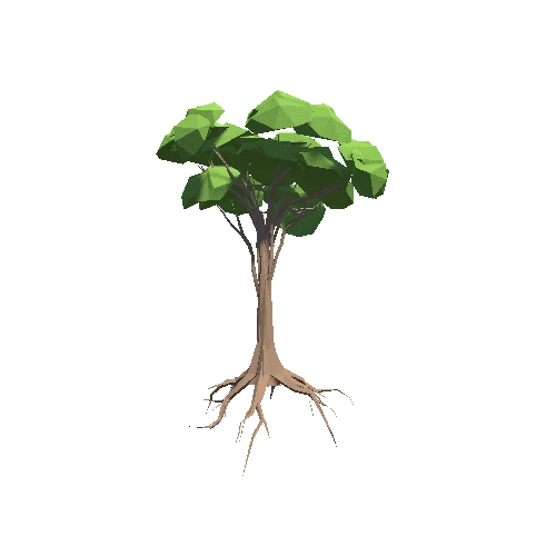 TreeMahogany01