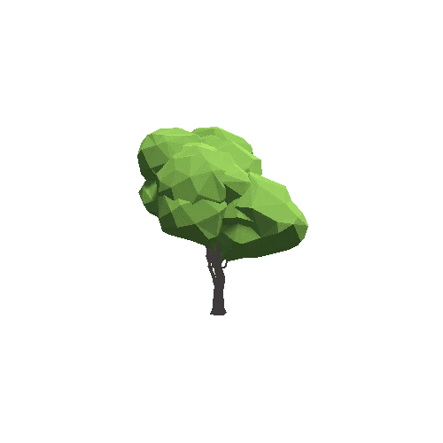 TreeMaple03