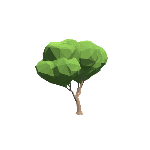 TreeMaple09