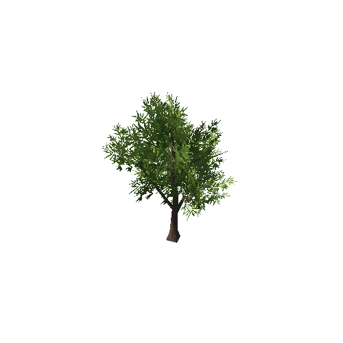 tree_b