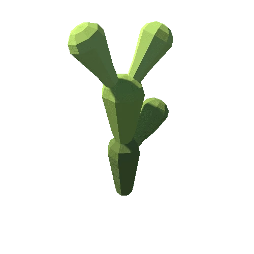 cactus_3