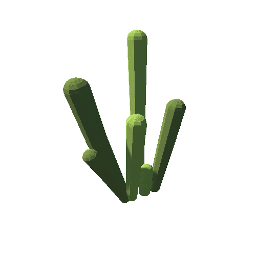 cactus_4