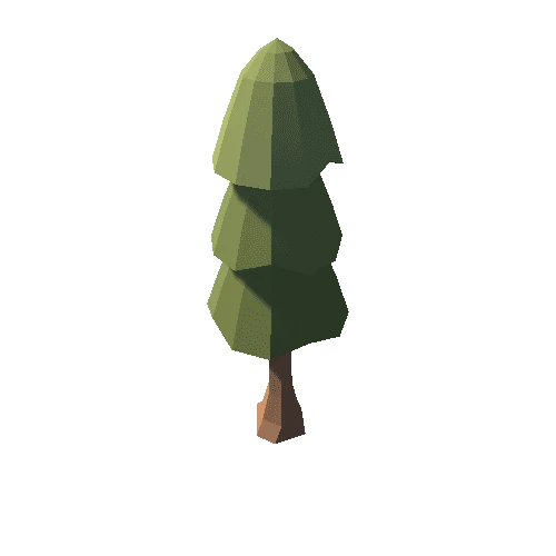 fir_tree_15