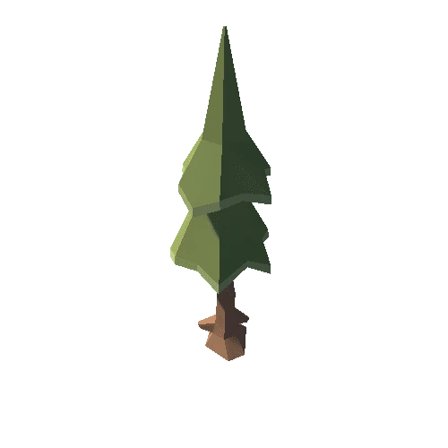 fir_tree_2