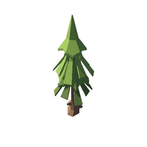 fir_tree_28