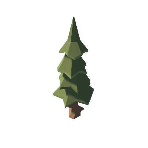 fir_tree_4