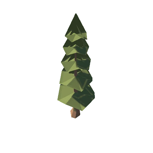 fir_tree_9