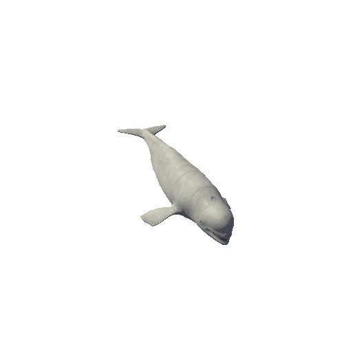 Beluga_Mesh_M